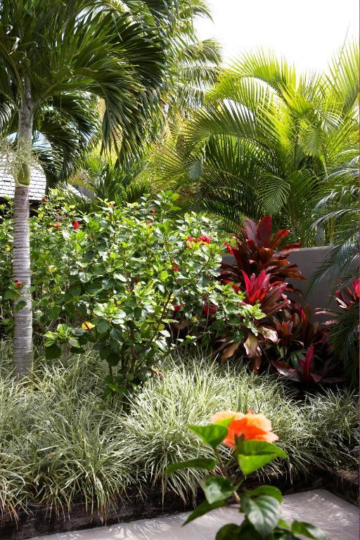 Te Vakaroa Villas Rarotonga Kültér fotó